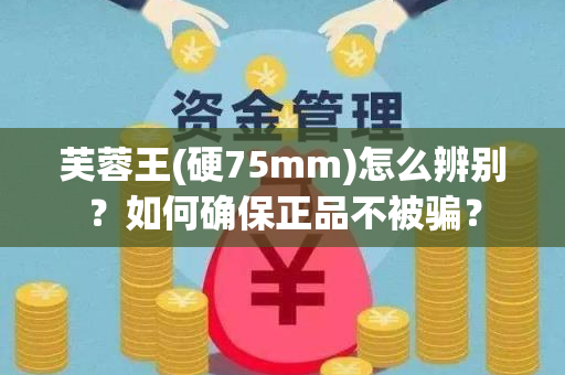 芙蓉王(硬75mm)怎么辨别？如何确保正品不被骗？
